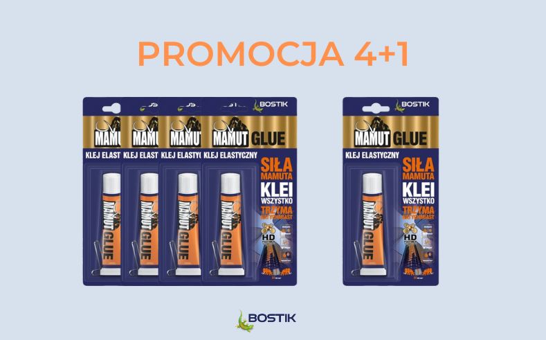 Read more about the article PROMOCJA 4+1